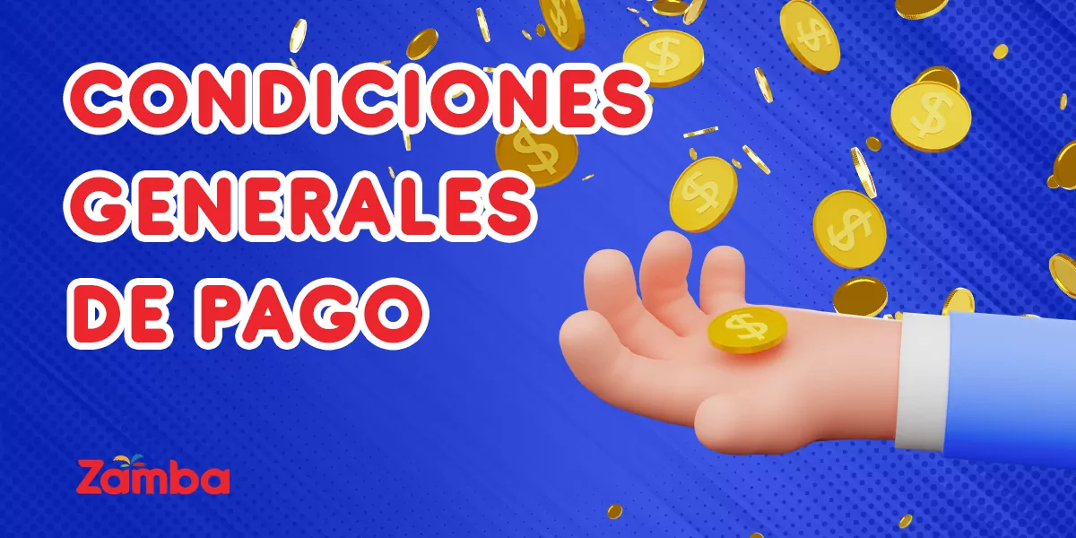 Condiciones generales para realizar pagos en Zamba Colombia