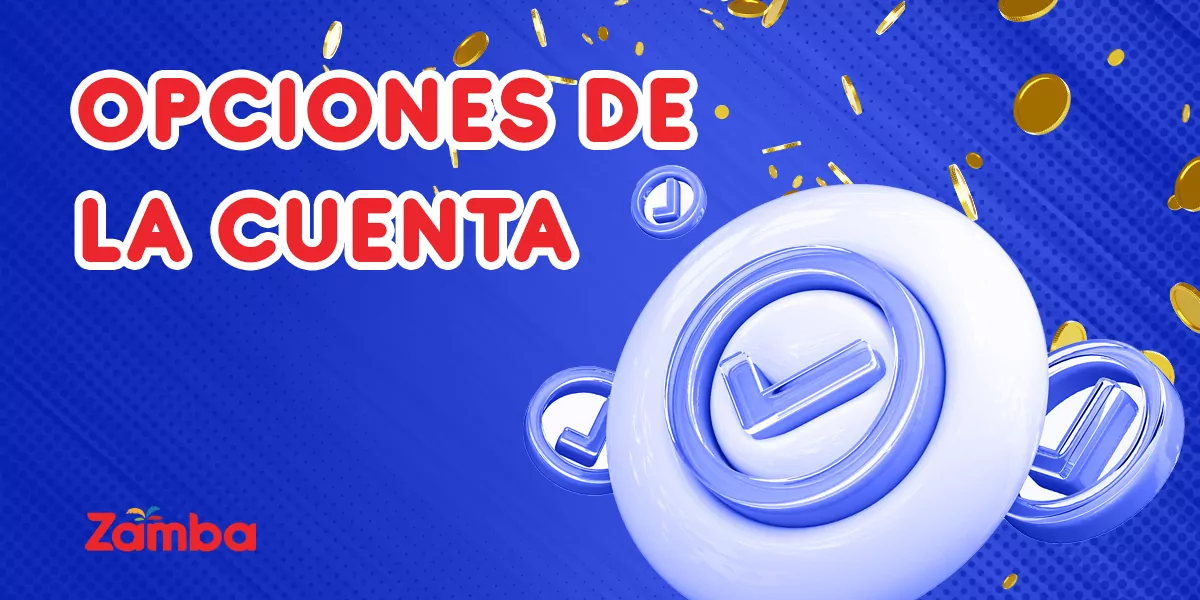 Descripci&oacute;n de la interfaz de Zamba y caracter&iacute;sticas de la cuenta